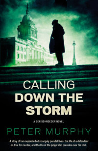 Peter Murphy — Calling Down the Storm: A gripping 1970s British courtroom drama