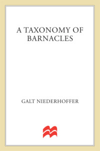 Niederhoffer Galt — A Taxonomy of Barnacles