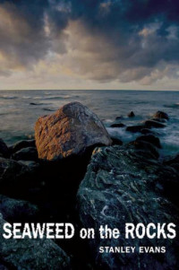 Evans Stanley — Seaweed on the Rocks