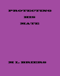 M L Briers — Protecting His Mate - His Mate, Book 1