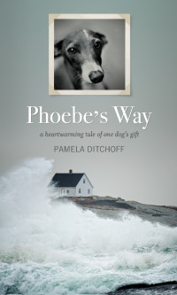 Ditchoff Pamela — Phoebe's Way