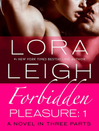 Lora Leigh — Forbidden Pleasure: Part 1