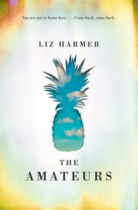 Liz Harmer — The Amateurs