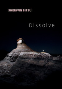 Sherwin Bitsui — Dissolve