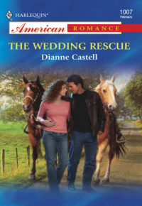 Castell Dianne — The Wedding Rescue