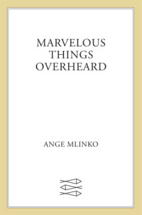 Mlinko Ange — Marvelous Things Overheard