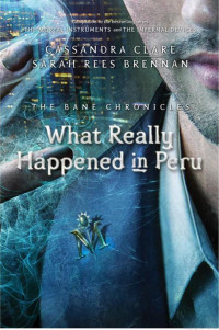 Clare Cassandra; Brennan Sarah Rees — What Really Happened in Peru