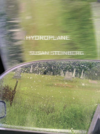 Steinberg Susan — Hydroplane: Fictions