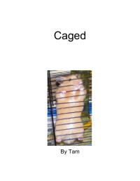Ames Tam — Caged