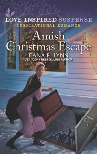 Dana R. Lynn — Amish Christmas Escape