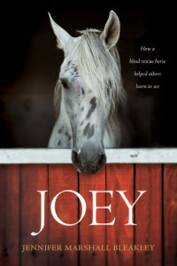 Bleakley, Jennifer Marshall — Joey