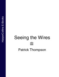 Thompson Patrick — Seeing the Wires