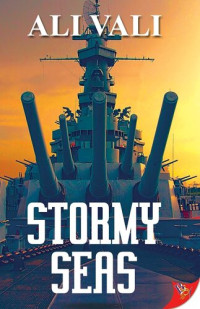 Ali Vali — Stormy Seas (Blue Skies Book 2)