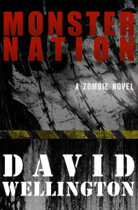David Wellington — Monster Nation: A Zombie Novel (The Monster Island Book 2)