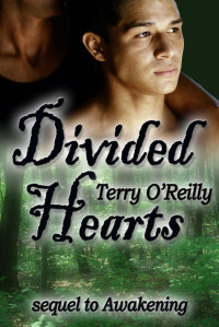 O'Reilly, Terry — Divided Hearts