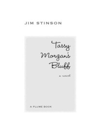 Jim Stinson — Tassy Morgan's Bluff: A Novel