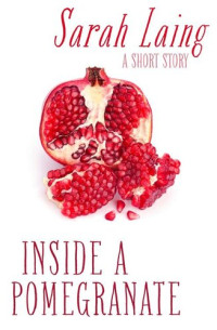 Sarah Laing — Inside a Pomegranate