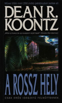 Dean R. Koontz — A rossz hely