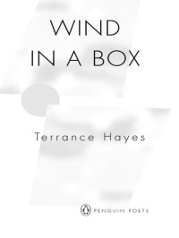 Terrance Hayes — Wind in a Box
