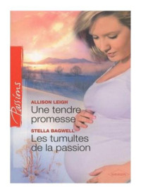 Bagwell Stella — Les tumultes de la passion