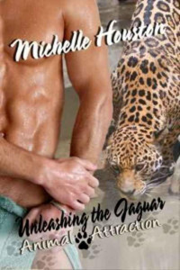 Houston Michelle — Unleashing the Jaguar