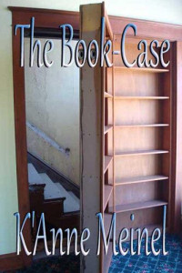 K'Anne Meinel — The Bookcase