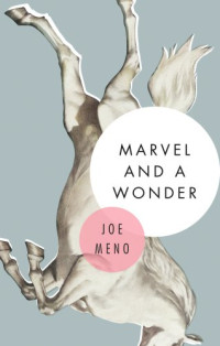 Meno Joe — Marvel and a Wonder
