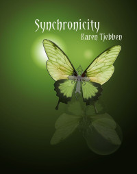 Tjebben Karen — Synchronicity