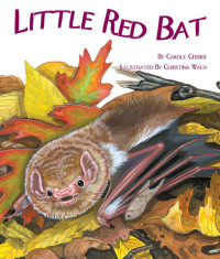 Carole Gerber — Little Red Bat