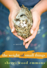 Emmons, Sherri Wood — The Weight of Small Things