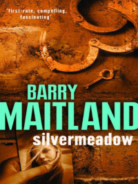 Maitland Barry — Silvermeadow