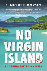 Dorsey, Michele C — No Virgin Island