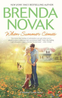 Novak Brenda — When Summer Comes