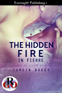 Baker Tamsin — The Hidden Fire in Fierre