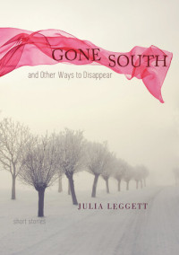 Julia Leggett — Gone South and Other Ways to Disappear: Short Stories