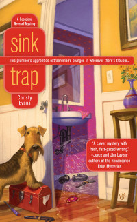 Evans Christy — Sink Trap