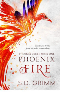 Grimm, S D — Phoenix Fire