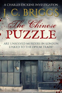 J.C. Briggs — The Chinese Puzzle