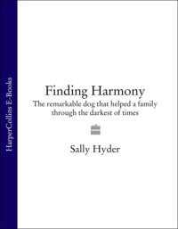 Hyder Sally — Finding Harmony