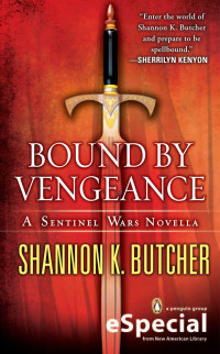 Butcher, Shannon K — Bound By Vengeance