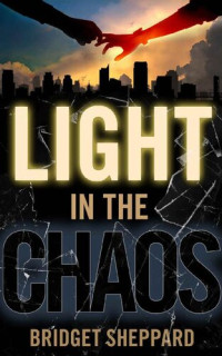 Bridget Sheppard — Light in the Chaos