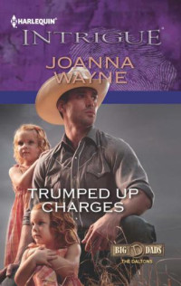 Wayne Joanna — Trumped Up Charges