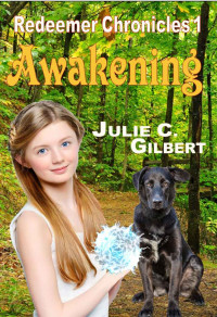Gilbert, Julie C — Awakening