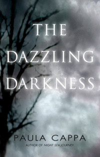 Paula Cappa — The Dazzling Darkness