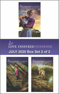 Katy Lee, Elisabeth Rees, Lynn Shannon — Harlequin Love Inspired Suspense 07.2020 Set 2 of 2
