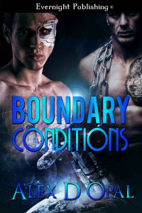 Opal, Alex D — Boundary Conditions