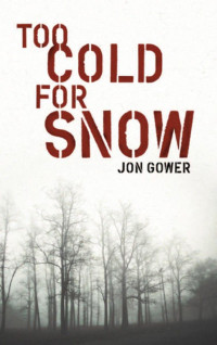 Gower Jon — Too Cold For Snow
