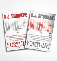 A.J. Scudiere — Fortune (Gray & Red)