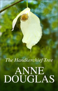 Douglas Anne — The Handkerchief Tree
