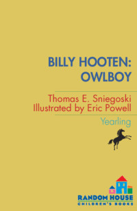 Sniegoski, Thomas E — Billy Hooten Owlboy